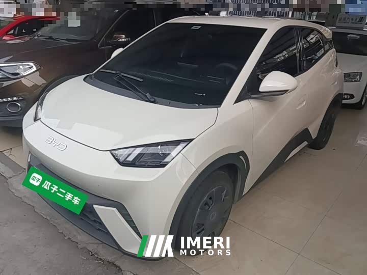 BYD Seagull Glory Edition 305km Vitality Version - ავტომობილი ჩინეთიდან