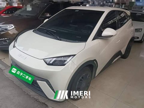 2024 BYD Seagull Glory Edition 305km Vitality Version - ავტომობილი ჩინეთიდან