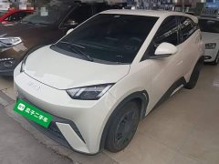 BYD Seagull Glory Edition 305km Vitality Version - ფოტო 2