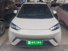 BYD Seagull Glory Edition 305km Vitality Version - ფოტო 3