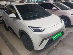 BYD Seagull Glory Edition 305km Vitality Version - ფოტო 4