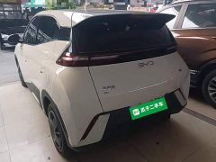 BYD Seagull Glory Edition 305km Vitality Version - ფოტო 5