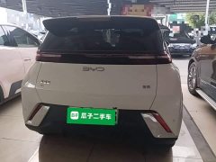 BYD Seagull Glory Edition 305km Vitality Version - ფოტო 6