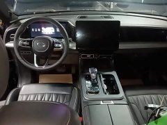 GAC Aion GS8 Pioneer Series 2.0T GDI FWD Luxury Smart Connected Edition 7-Seater - ფოტო 10
