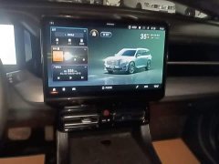 GAC Aion GS8 Pioneer Series 2.0T GDI FWD Luxury Smart Connected Edition 7-Seater - ფოტო 13