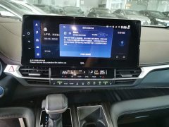 Toyota Sienna 2021 2.5L Hybrid Platinum Edition - ფოტო 13