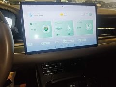 BYD 2022 Han DM-i 121KM Respect Edition - ფოტო 13