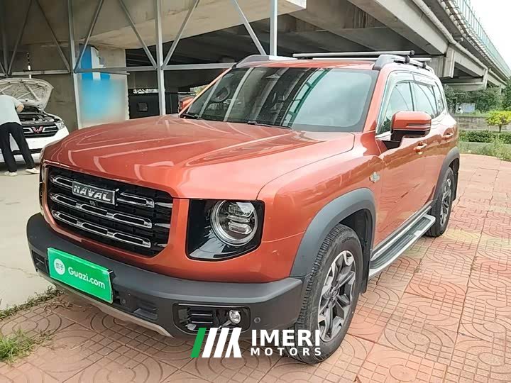 Great Wall Dachshund 2.0T DCT Four-Wheel Drive Chinese Rural Dog Edition - car from China
