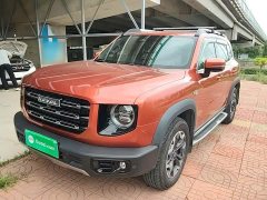 Great Wall Dachshund 2.0T DCT Four-Wheel Drive Chinese Rural Dog Edition - photo 1