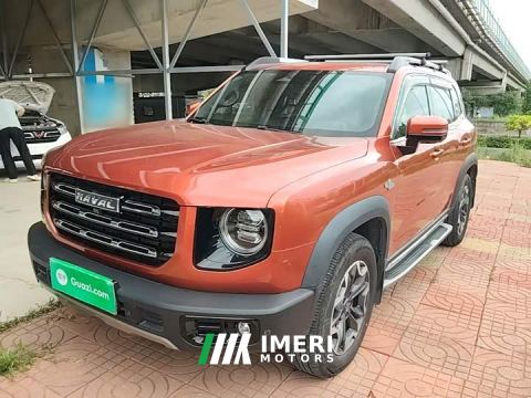 2021 Great Wall Dachshund 2.0T DCT Four-Wheel Drive Chinese Rural Dog Edition - ავტომობილი ჩინეთიდან