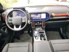 Great Wall Dachshund 2.0T DCT Four-Wheel Drive Chinese Rural Dog Edition - photo 10