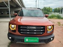 Great Wall Dachshund 2.0T DCT Four-Wheel Drive Chinese Rural Dog Edition - photo 3