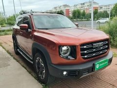 Great Wall Dachshund 2.0T DCT Four-Wheel Drive Chinese Rural Dog Edition - photo 4