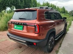 Great Wall Dachshund 2.0T DCT Four-Wheel Drive Chinese Rural Dog Edition - photo 7