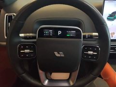 Li Auto L9 Max - ფოტო 11