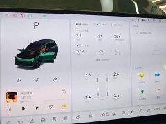Li Auto L9 Max - ფოტო 12