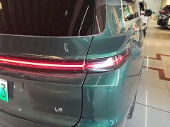 Li Auto L9 Max - ფოტო 8