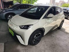 BYD Seagull Glory Edition 305km Freedom Version - ფოტო 1