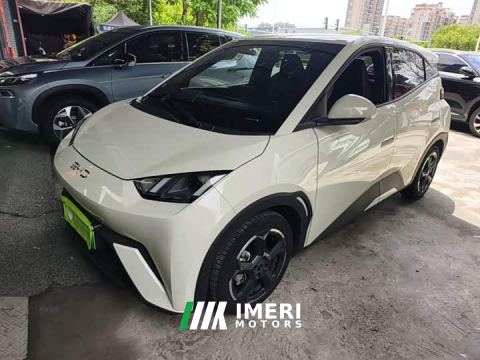 2024 BYD Seagull Glory Edition 305km Freedom Version - ავტომობილი ჩინეთიდან