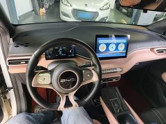BYD Seagull Glory Edition 305km Freedom Version - ფოტო 10