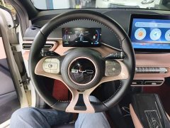 BYD Seagull Glory Edition 305km Freedom Version - ფოტო 11