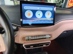 BYD Seagull Glory Edition 305km Freedom Version - ფოტო 13