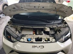 BYD Seagull Glory Edition 305km Freedom Version - ფოტო 20