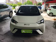 BYD Seagull Glory Edition 305km Freedom Version - ფოტო 3