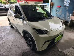 BYD Seagull Glory Edition 305km Freedom Version - ფოტო 4