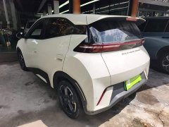 BYD Seagull Glory Edition 305km Freedom Version - ფოტო 5