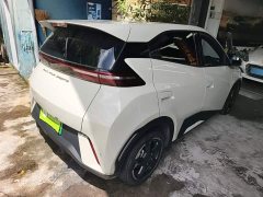 BYD Seagull Glory Edition 305km Freedom Version - ფოტო 7
