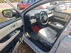 Wuling Binguo PLUS 2024 510km 5-Seater - ფოტო 16