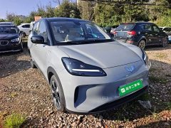 Wuling Binguo PLUS 2024 510km 5-Seater - ფოტო 4