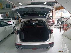 Geely Bingyue 2020 Facelift 240T DCT Hunter - ფოტო 19