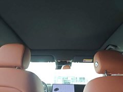 Li Auto L6 Pro - ფოტო 18