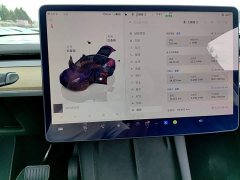 Tesla Model Y Rear-Wheel Drive - ფოტო 13