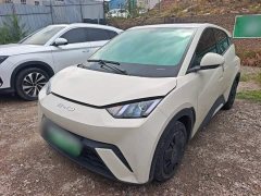 BYD Seagull Glory Edition 305km Vitality Version - ფოტო 1