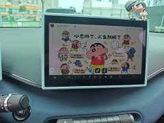 BYD Seagull Glory Edition 305km Vitality Version - ფოტო 13