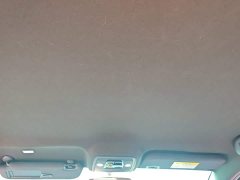 BYD Seagull Glory Edition 305km Vitality Version - ფოტო 18