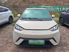 BYD Seagull Glory Edition 305km Vitality Version - ფოტო 3