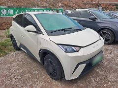 BYD Seagull Glory Edition 305km Vitality Version - ფოტო 4