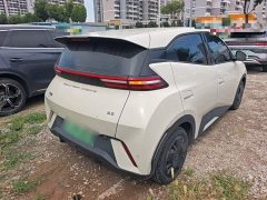 BYD Seagull Glory Edition 305km Vitality Version - ფოტო 7