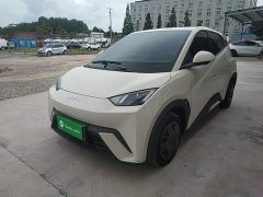 BYD Seagull 305km Vitality Edition - ფოტო 2