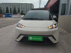 BYD Seagull 305km Vitality Edition - ფოტო 3
