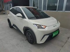 BYD Seagull 305km Vitality Edition - ფოტო 4