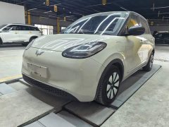 Wuling Binguo 2023 410km Lingxi Premium Edition - ფოტო 1