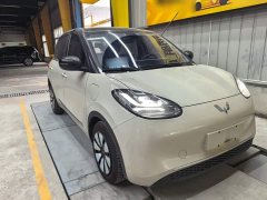 Wuling Binguo 2023 410km Lingxi Premium Edition - ფოტო 4