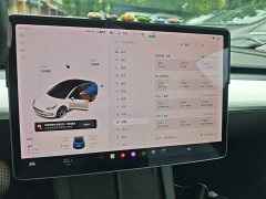 Tesla Model 3 Standard Range RWD Upgrade 3D6 - ფოტო 12