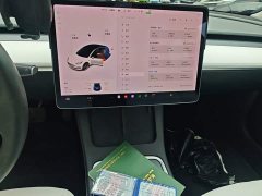 Tesla Model 3 Standard Range RWD Upgrade 3D6 - ფოტო 13