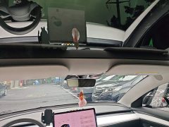 Tesla Model 3 Standard Range RWD Upgrade 3D6 - ფოტო 18